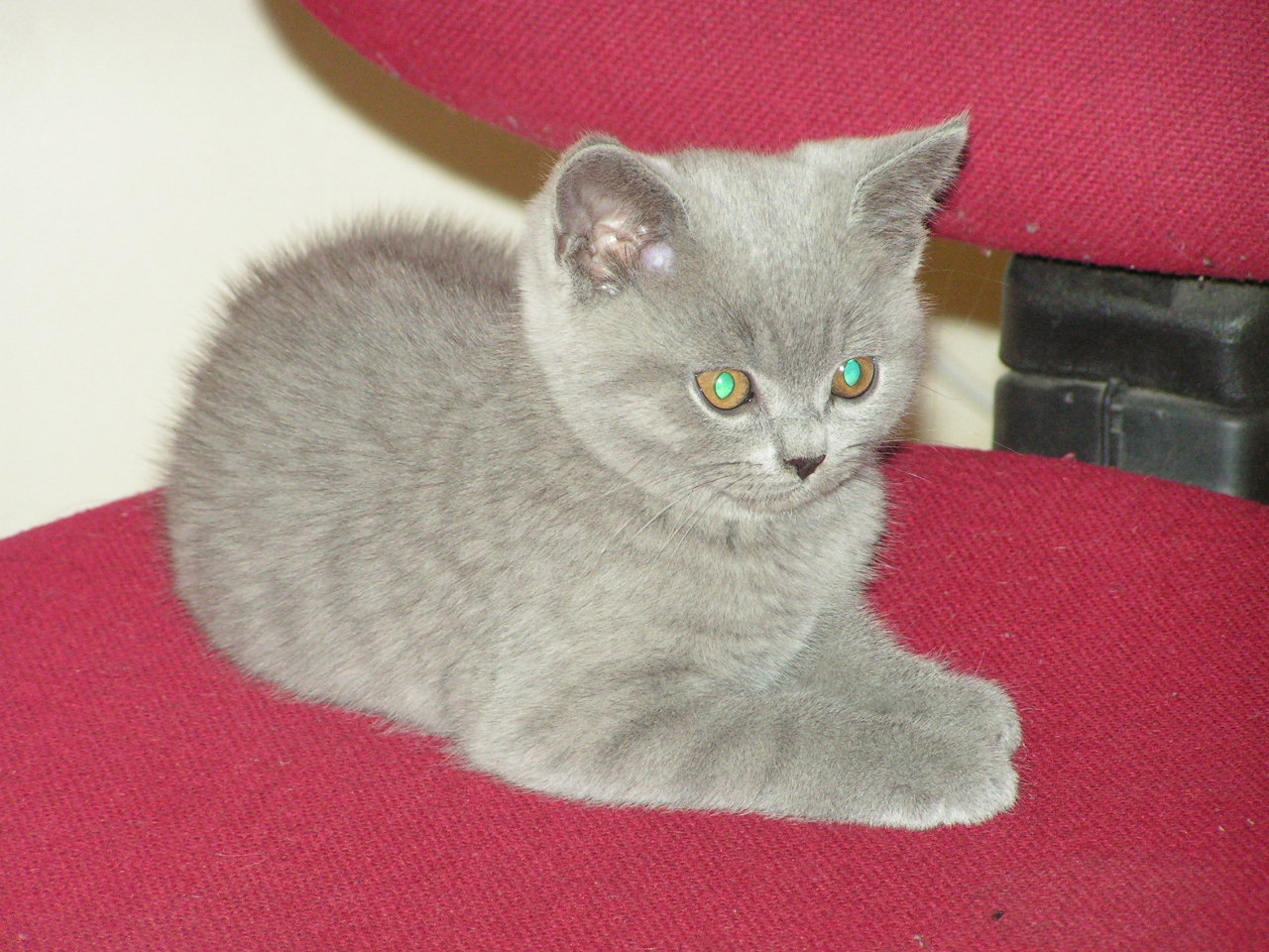 PICT2517.JPG