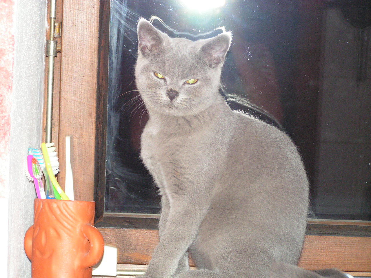 PICT0187.JPG