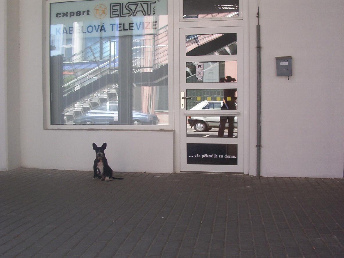 100_2096.JPG
